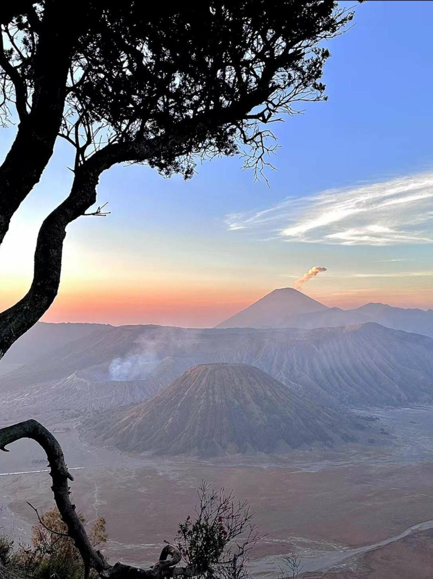 Bromo Holiday Guest House Ngadisari Exterior photo